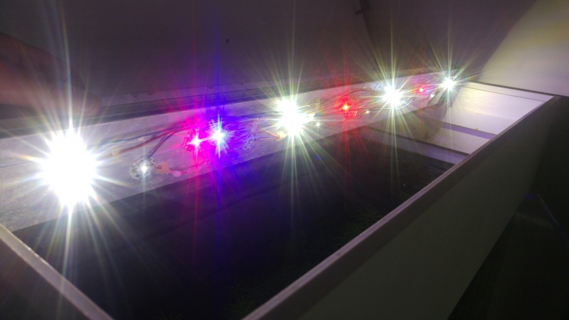 20160811_153344.jpg