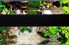 060l - ATP - ADA Cube Garden - Adam Golik
