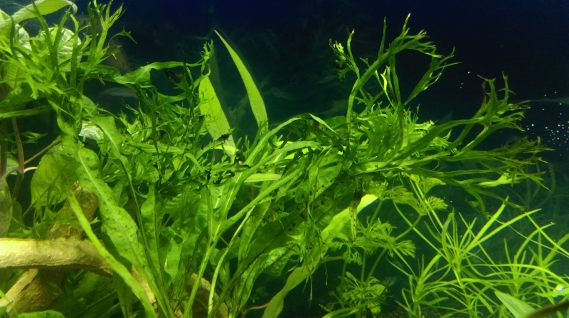 IMAG3049.jpg