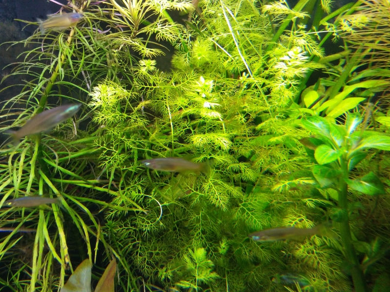 20160911_184423[1].jpg