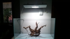 172l - Max Low Tech - florek