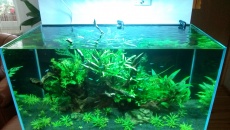 172l - Max Low Tech - florek