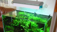 172l - Max Low Tech - florek
