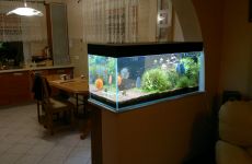 1200l - W ścianie - manxxxx