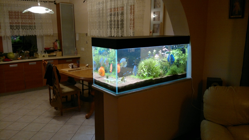 2012-11-17-598.jpg