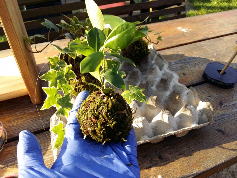 20160506_183313.jpg