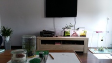 Free day  :)  P22