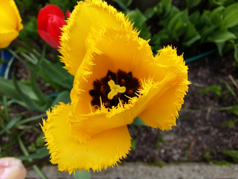 20160502_160759.jpg