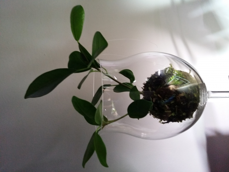 20160507_222812.jpg