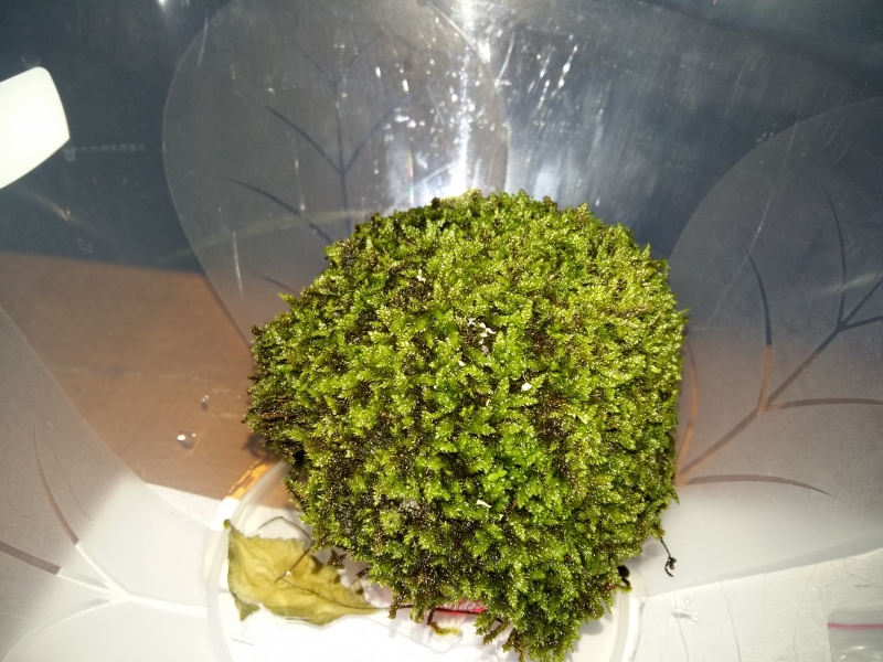 20160530_155016.jpg