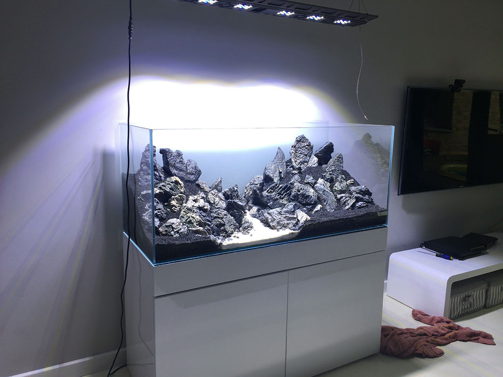 hardscape1.jpg