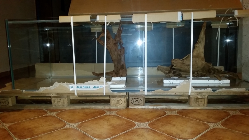 20160915_173021.jpg