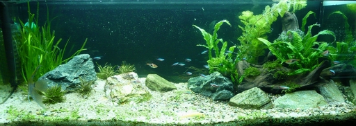12.05.08_1.jpg