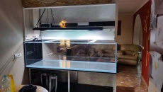1200l - W ścianie - manxxxx
