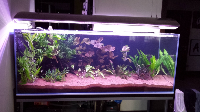 20141216_083715.jpg