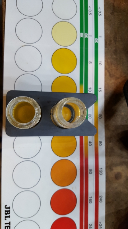 20160923_141104 1.jpg