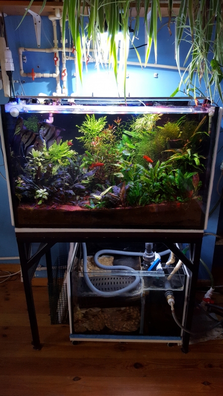 20160923_103511 1.jpg