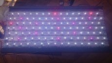 Belka LED do akwarium 300l