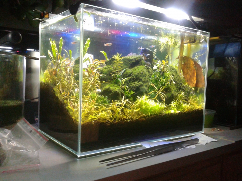 2014-10-24 20.20.58.jpg