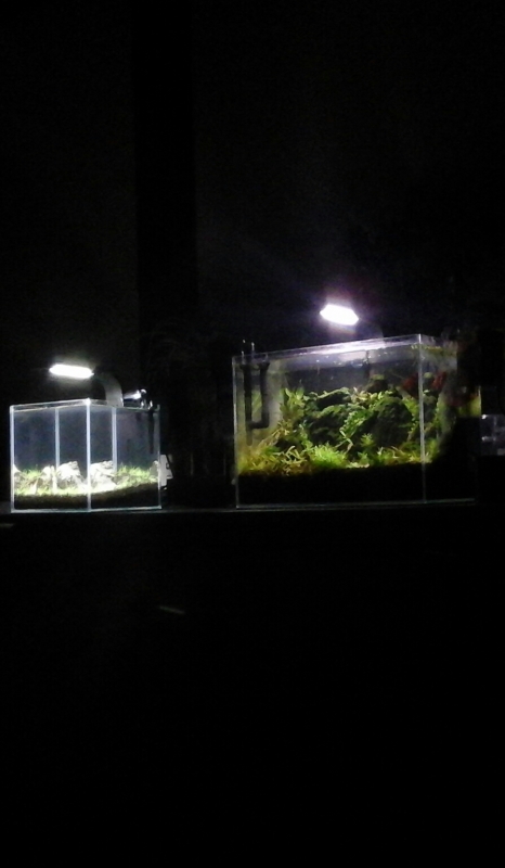 20141025_231225-1.jpg