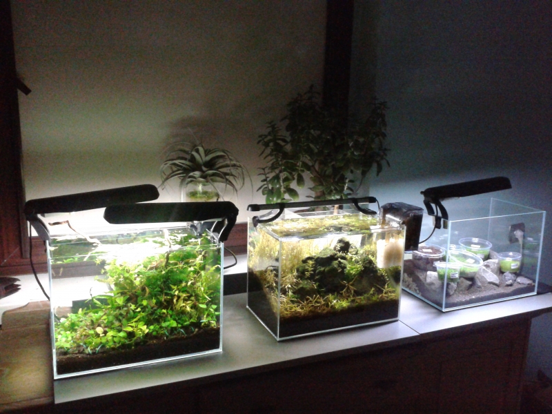 2014-10-06 21.10.01.jpg