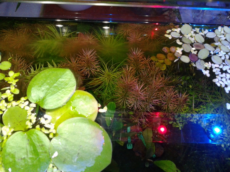 2014-12-06 17.23.35.jpg
