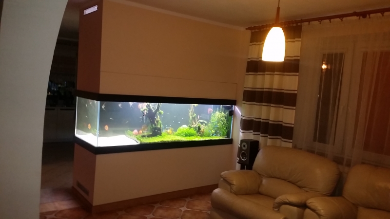 20161006_164746.jpg