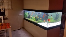1200l - W ścianie - manxxxx