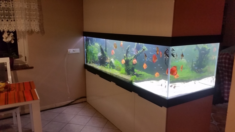 20161006_164941.jpg