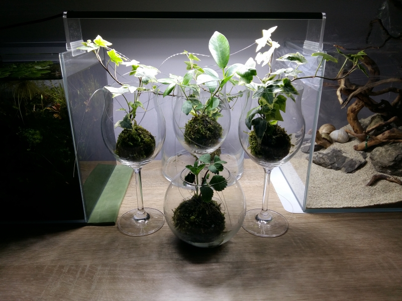 20160513_202738.jpg