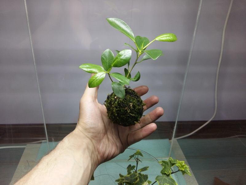 20160522_221205.jpg