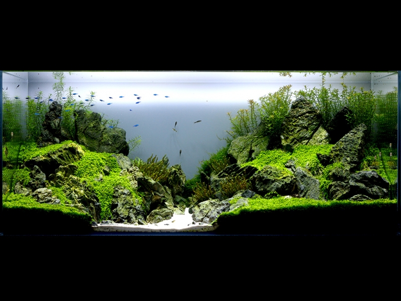 aquarium.jpg