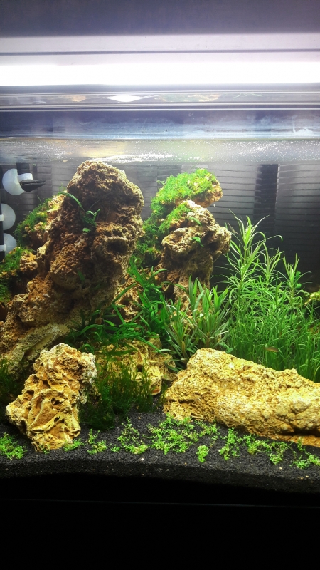 akwa01.20161015_064059.jpg