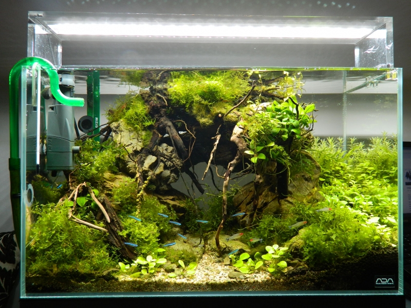 DSCN4550.JPG