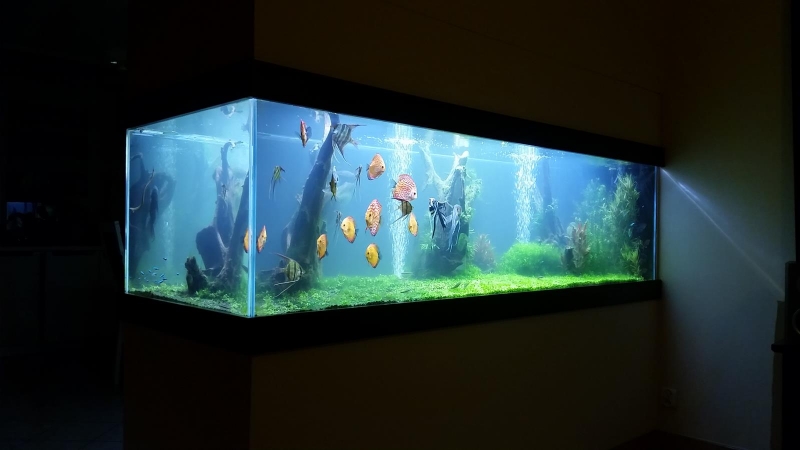 8 (Copy).jpg
