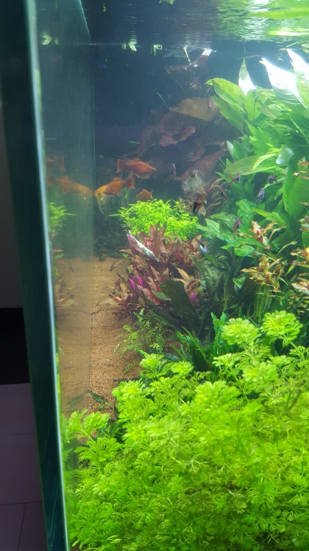 20161017_120112 1.jpg