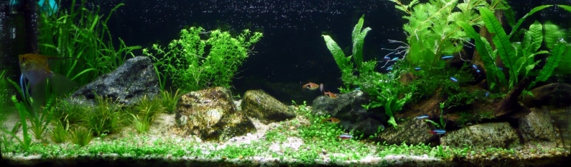 14.06.08_1.jpg