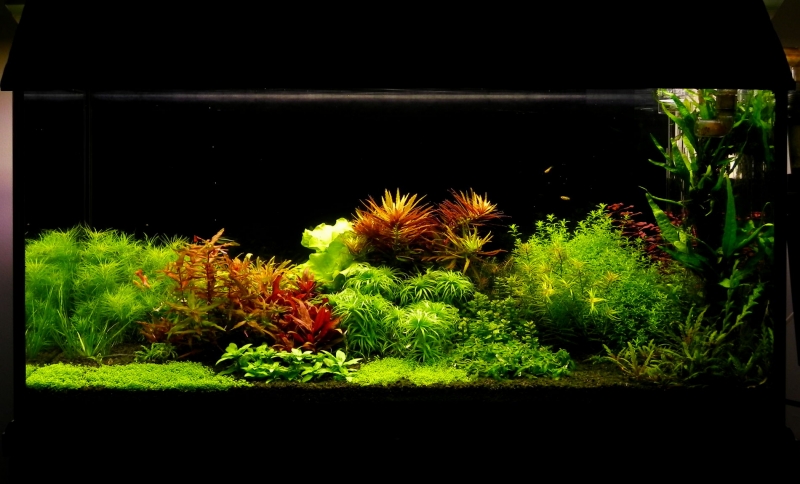 DSCN7580.jpg