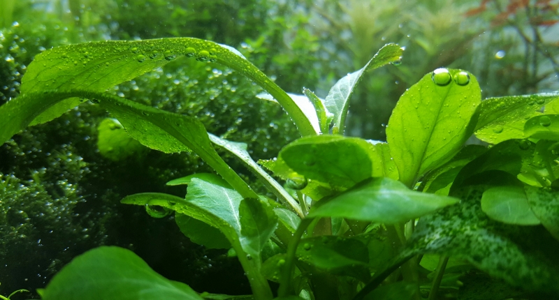 20161023_202622.jpg