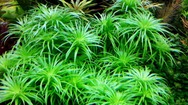 20161027_213705.jpg