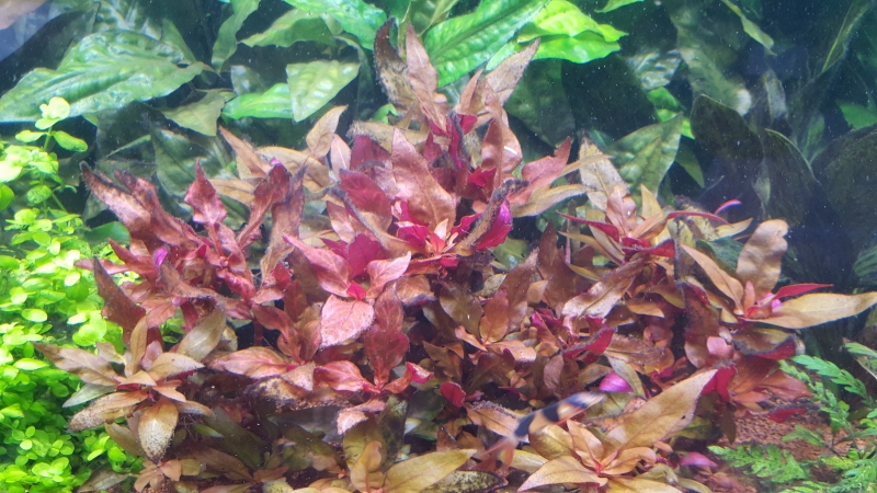 20161029_170214 1.jpg