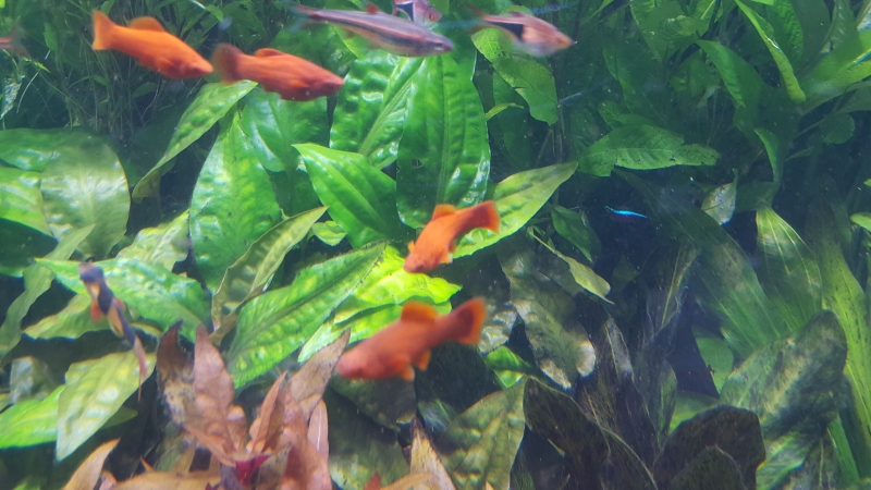20161029_170220 1.jpg