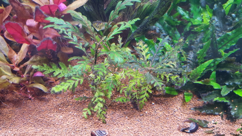 20161029_170225 1.jpg
