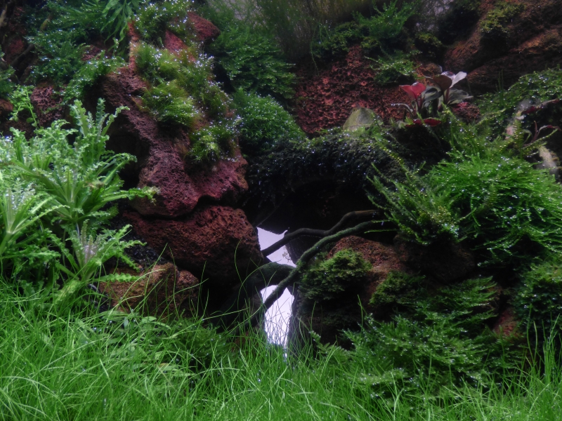 P1040228.JPG