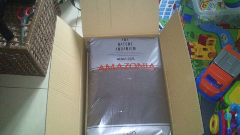 amazonia.jpg