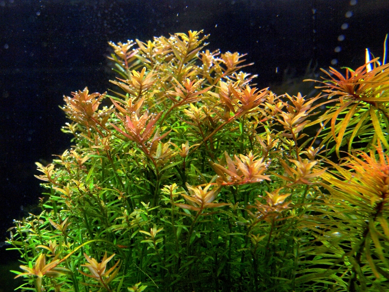 P1018454.JPG