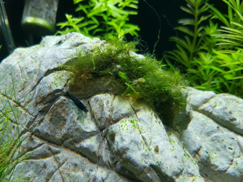 20161120_200445.jpg