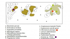 400L - plan zagospodarowania przestrzennego