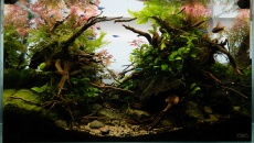 064l - ADA Cube Garden - Adam Golik