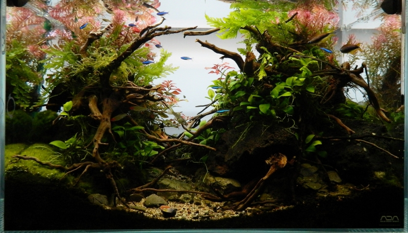 DSCN4669.JPG